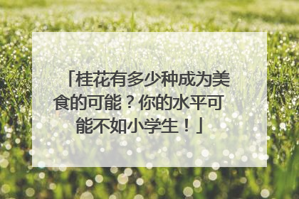 桂花有多少种成为美食的可能？你的水平可能不如小学生！