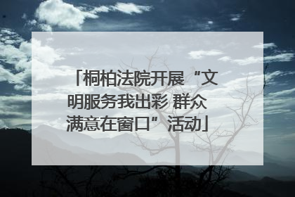 桐柏法院开展“文明服务我出彩 群众满意在窗口”活动
