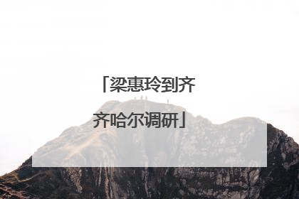 梁惠玲到齐齐哈尔调研