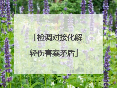 检调对接化解轻伤害案矛盾