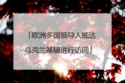 欧洲多国领导人抵达乌克兰基辅进行访问