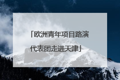 欧洲青年项目路演代表团走进天津