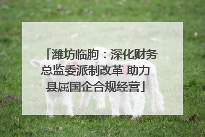 潍坊临朐：深化财务总监委派制改革 助力县属国企合规经营