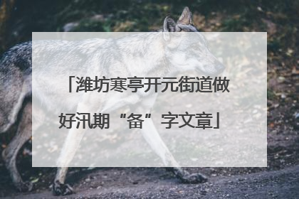 潍坊寒亭开元街道做好汛期“备”字文章
