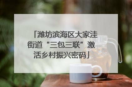 潍坊滨海区大家洼街道“三包三联”激活乡村振兴密码