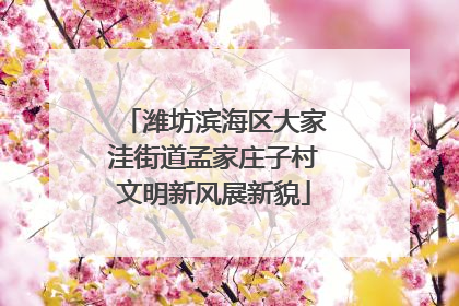 潍坊滨海区大家洼街道孟家庄子村文明新风展新貌