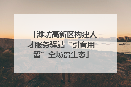 潍坊高新区构建人才服务驿站“引育用留”全场景生态