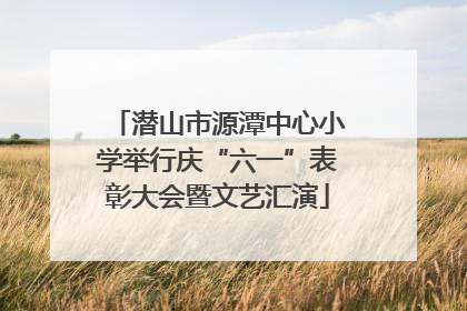 潜山市源潭中心小学举行庆“六一”表彰大会暨文艺汇演