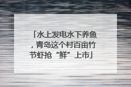 水上发电水下养鱼，青岛这个村百亩竹节虾抢“鲜”上市