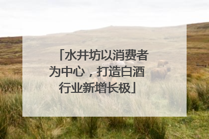 水井坊以消费者为中心，打造白酒行业新增长极