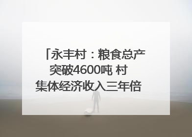 永丰村：粮食总产突破4600吨 村集体经济收入三年倍增｜牵挂的村