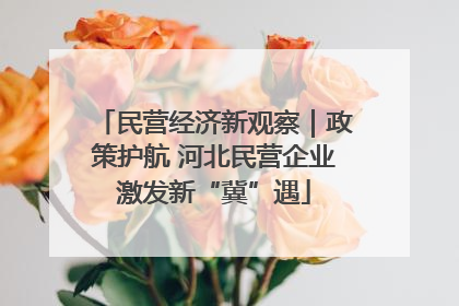 民营经济新观察｜政策护航 河北民营企业激发新“冀”遇
