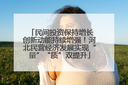 民间投资保持增长 创新动能持续增强！河北民营经济发展实现“量”“质”双提升