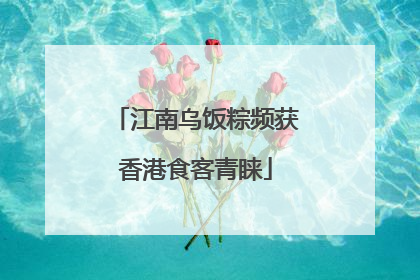江南乌饭粽频获香港食客青睐