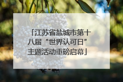江苏省盐城市第十八届“世界认可日”主题活动重磅启幕