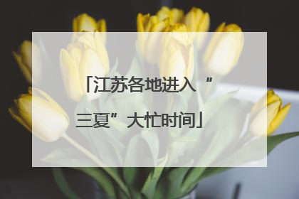 江苏各地进入“三夏”大忙时间