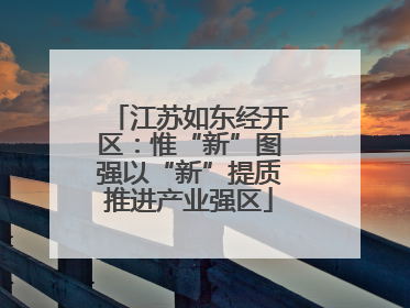 江苏如东经开区：惟“新”图强以“新”提质推进产业强区