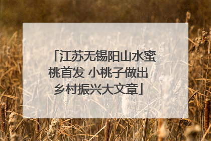 江苏无锡阳山水蜜桃首发 小桃子做出乡村振兴大文章