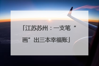 江苏苏州：一支笔“画”出三本幸福账