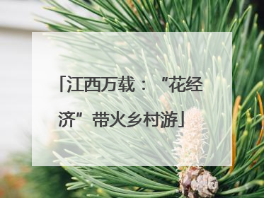 江西万载：“花经济”带火乡村游