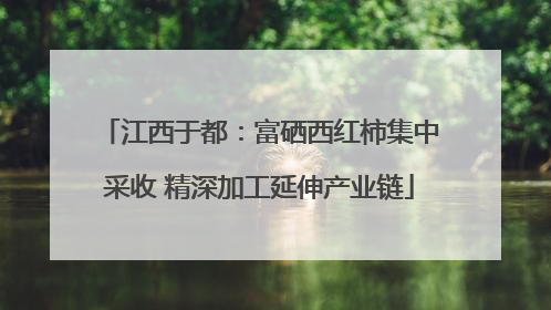 江西于都：富硒西红柿集中采收 精深加工延伸产业链