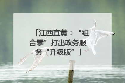 江西宜黄：“组合拳”打出政务服务“升级版”