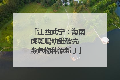 江西武宁：海南虎斑鳽幼雏破壳 濒危物种添新丁