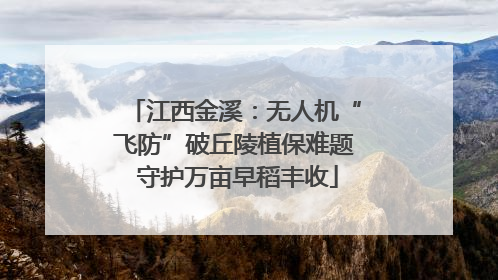 江西金溪：无人机“飞防”破丘陵植保难题 守护万亩早稻丰收