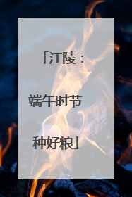 江陵：端午时节种好粮