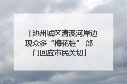 池州城区清溪河岸边现众多“梅花桩” 部门回应市民关切