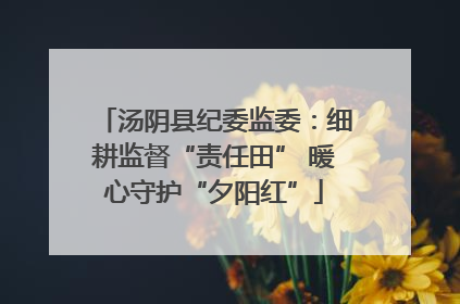 汤阴县纪委监委：细耕监督“责任田” 暖心守护“夕阳红”
