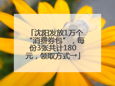 沈阳发放1万个“消费券包”，每份3张共计180元，领取方式→