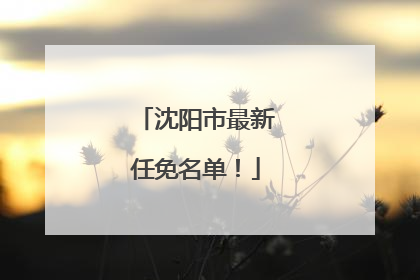 沈阳市最新任免名单！