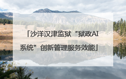 沙洋汉津监狱“狱政AI系统”创新管理服务效能