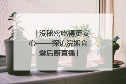 没秘密吃得更安心——探访浣熊食堂后厨直播