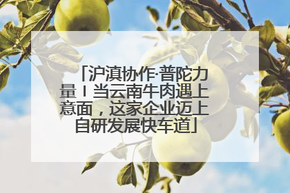 沪滇协作·普陀力量〡当云南牛肉遇上意面，这家企业迈上自研发展快车道