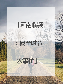 河南临颍：夏至时节农事忙