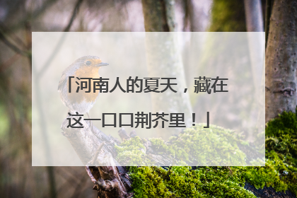 河南人的夏天，藏在这一口口荆芥里！