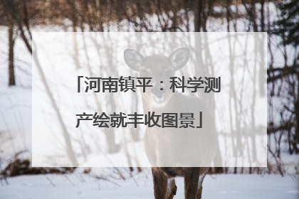 河南镇平：科学测产绘就丰收图景