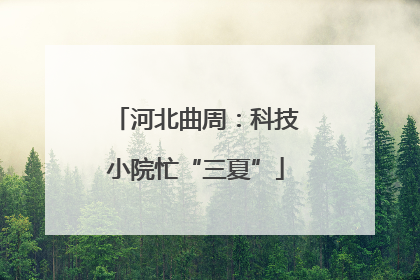 河北曲周：科技小院忙“三夏”