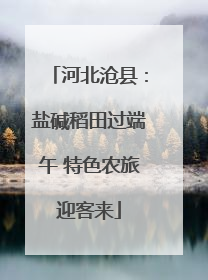 河北沧县：盐碱稻田过端午 特色农旅迎客来