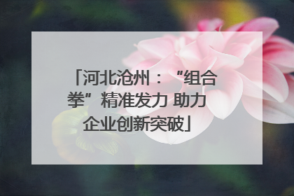 河北沧州：“组合拳”精准发力 助力企业创新突破