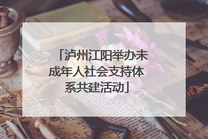 泸州江阳举办未成年人社会支持体系共建活动