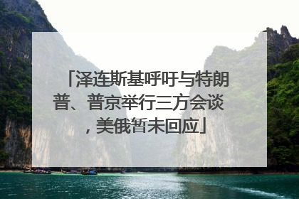 泽连斯基呼吁与特朗普、普京举行三方会谈，美俄暂未回应