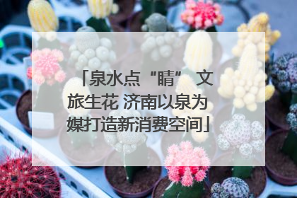 泉水点“睛” 文旅生花 济南以泉为媒打造新消费空间