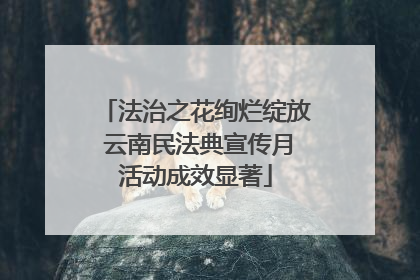 法治之花绚烂绽放 云南民法典宣传月活动成效显著