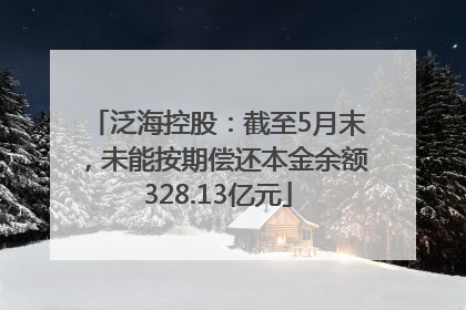泛海控股：截至5月末，未能按期偿还本金余额328.13亿元