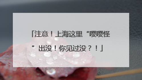 注意！上海这里“嘤嘤怪”出没！你见过没？！