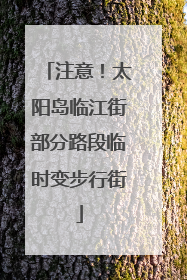注意！太阳岛临江街部分路段临时变步行街