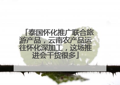 泰国怀化推广联合旅游产品，云南农产品运往怀化深加工，这场推进会干货很多